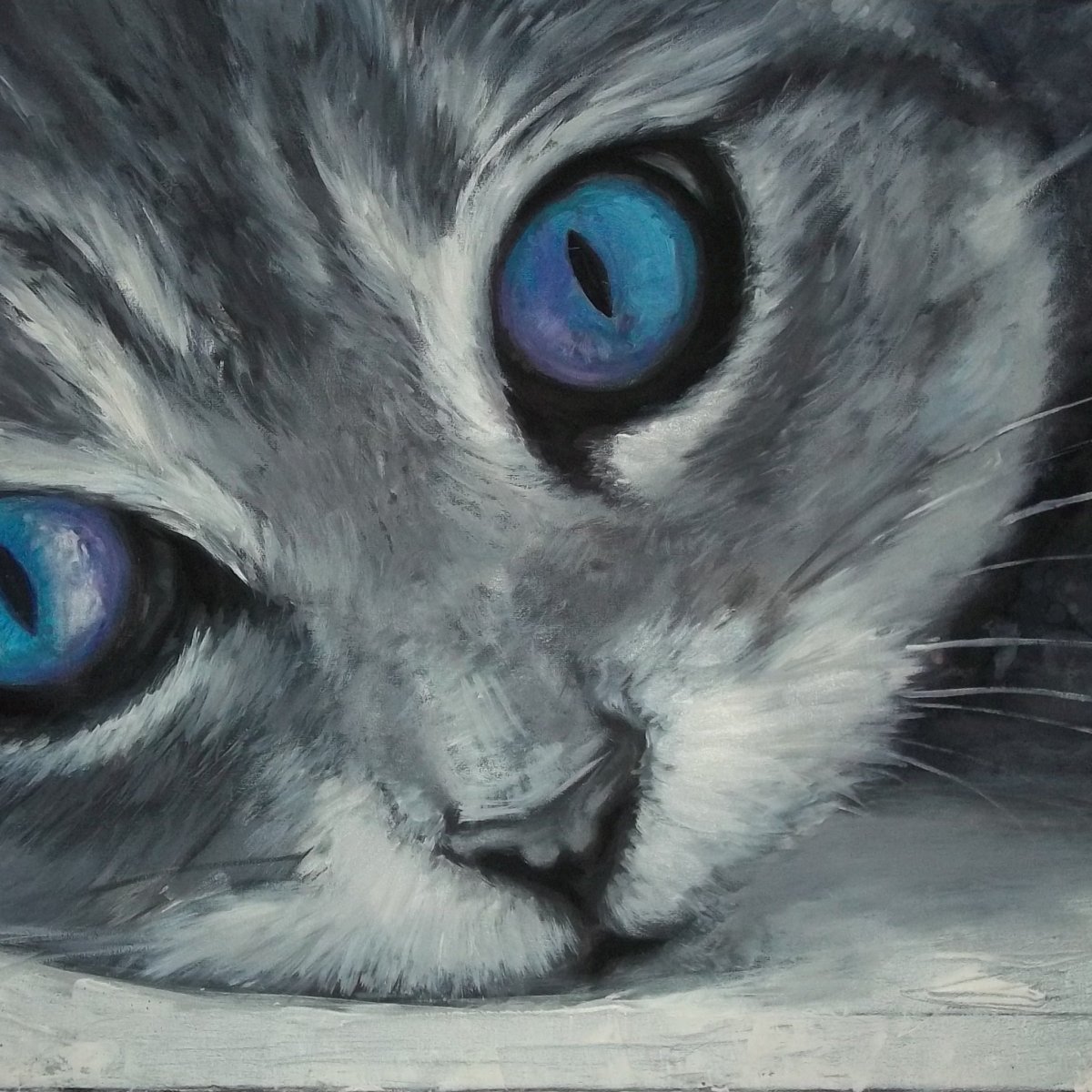 Красивый кот рисунок