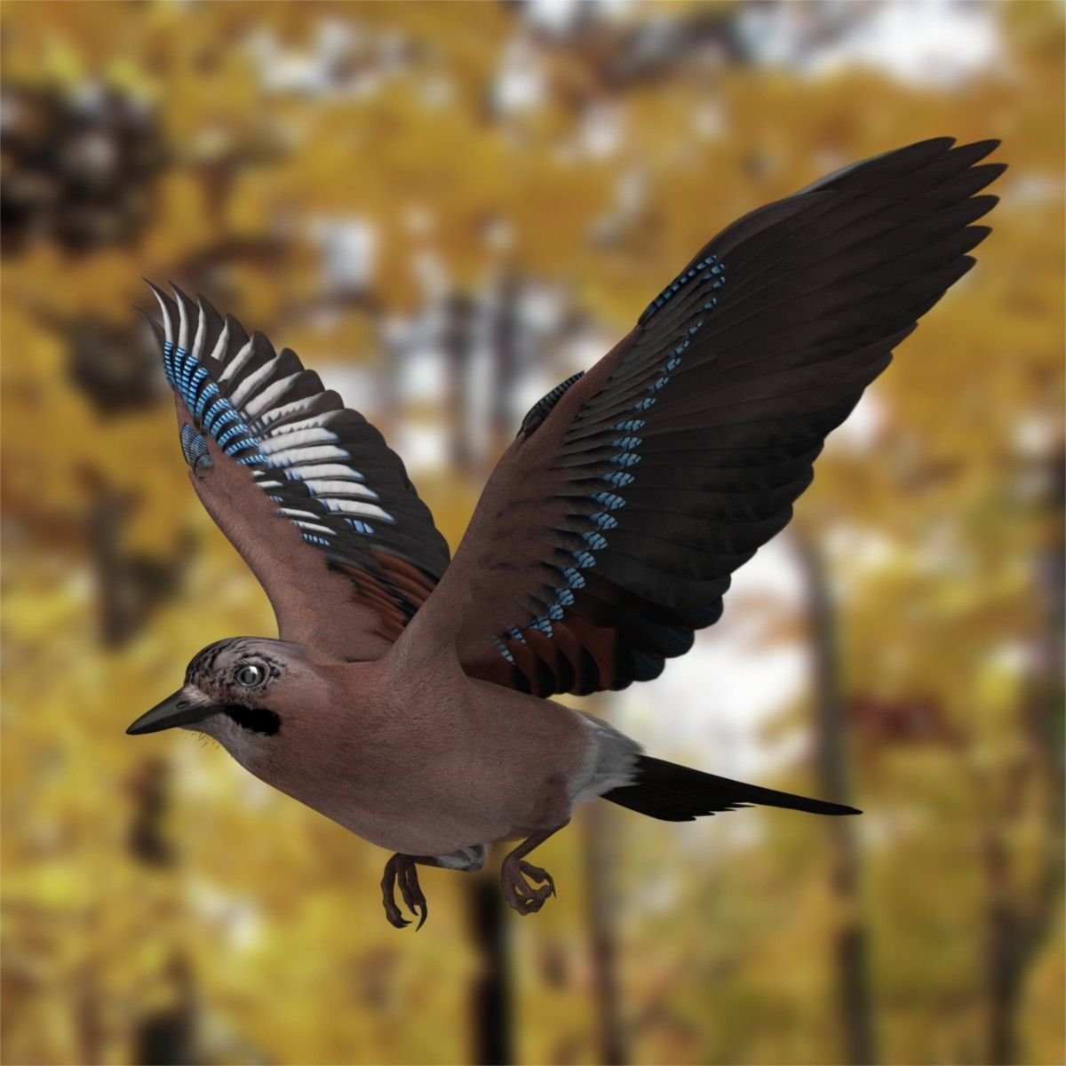 Птица в полете