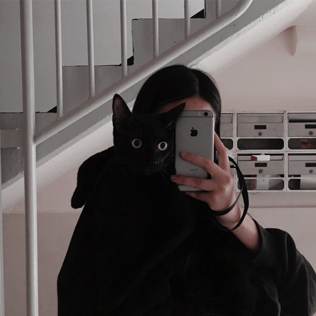 Кошачий уют