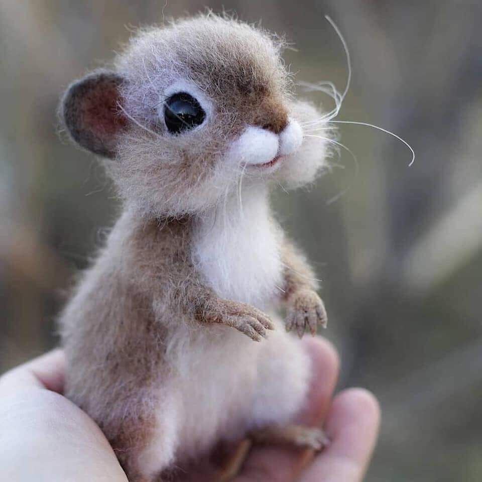 Милые зверюшки.