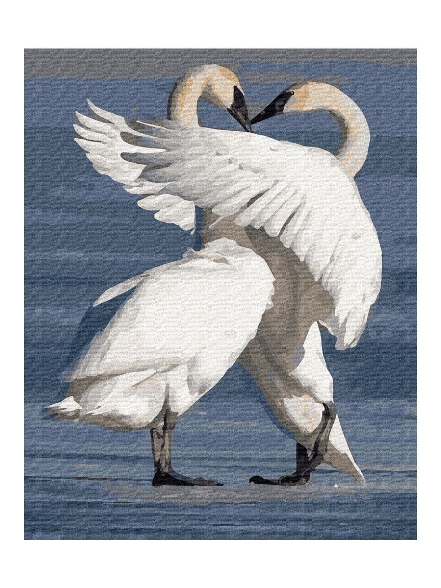 Верность лебедей