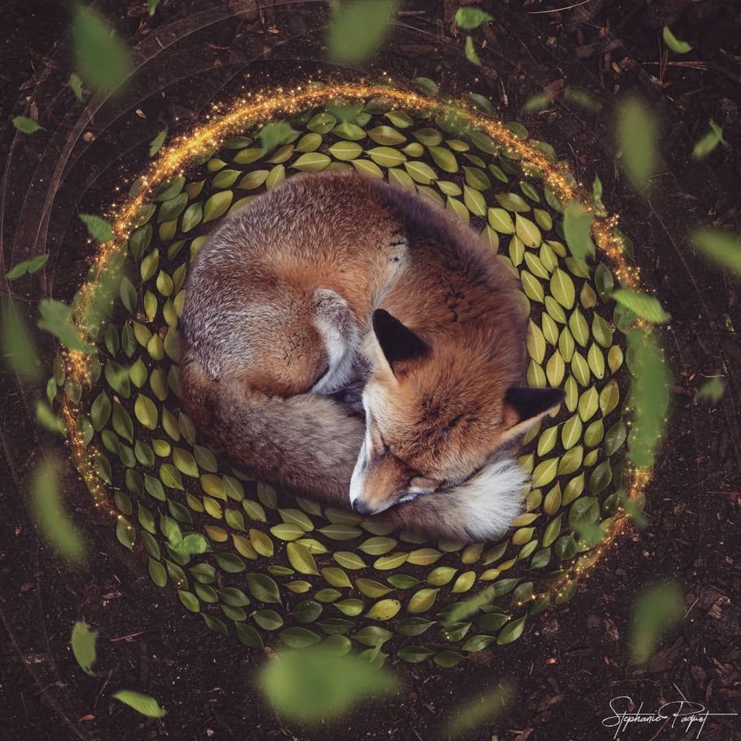 Белочка с орешками