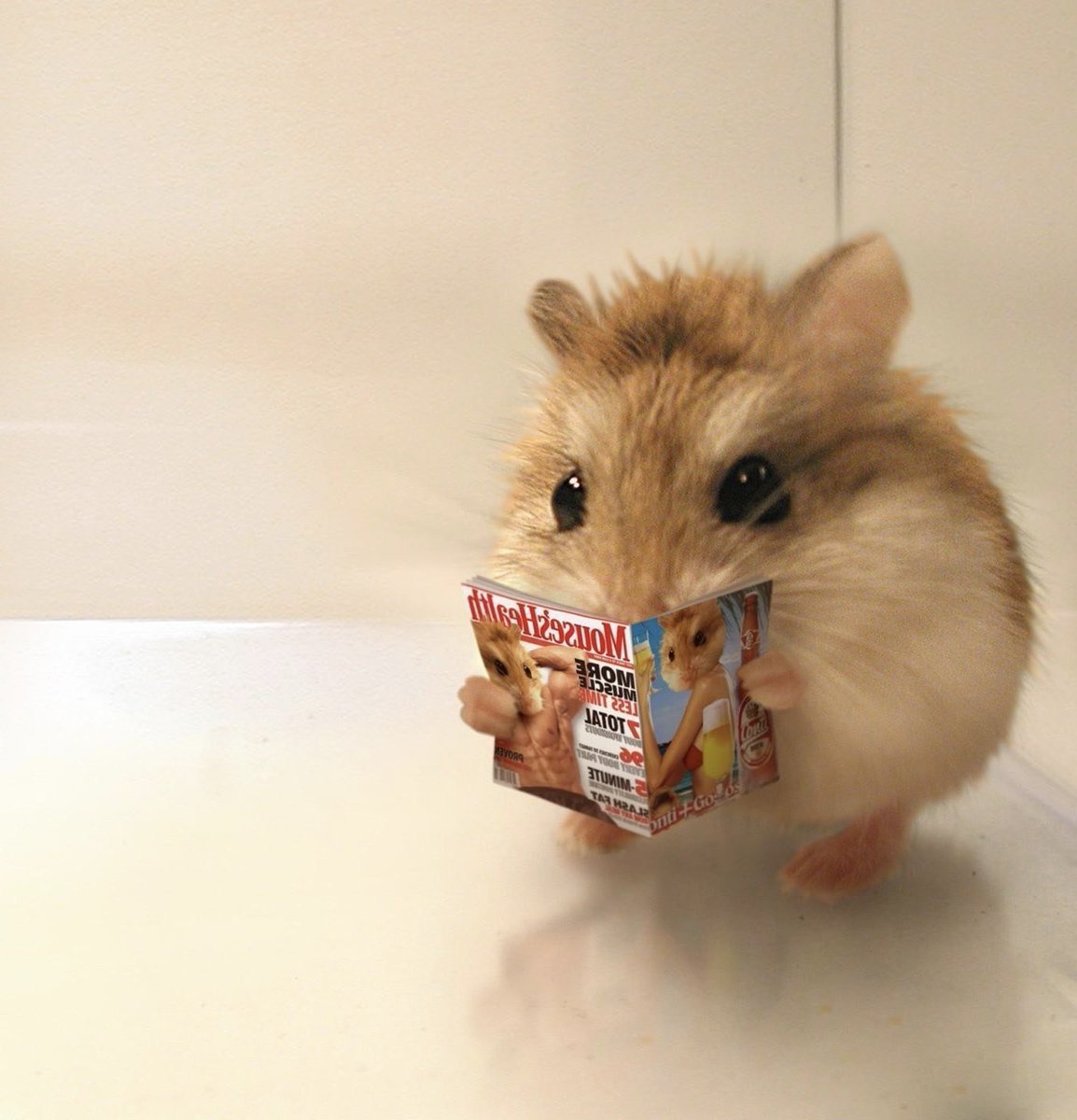 Хомяк с макаронами