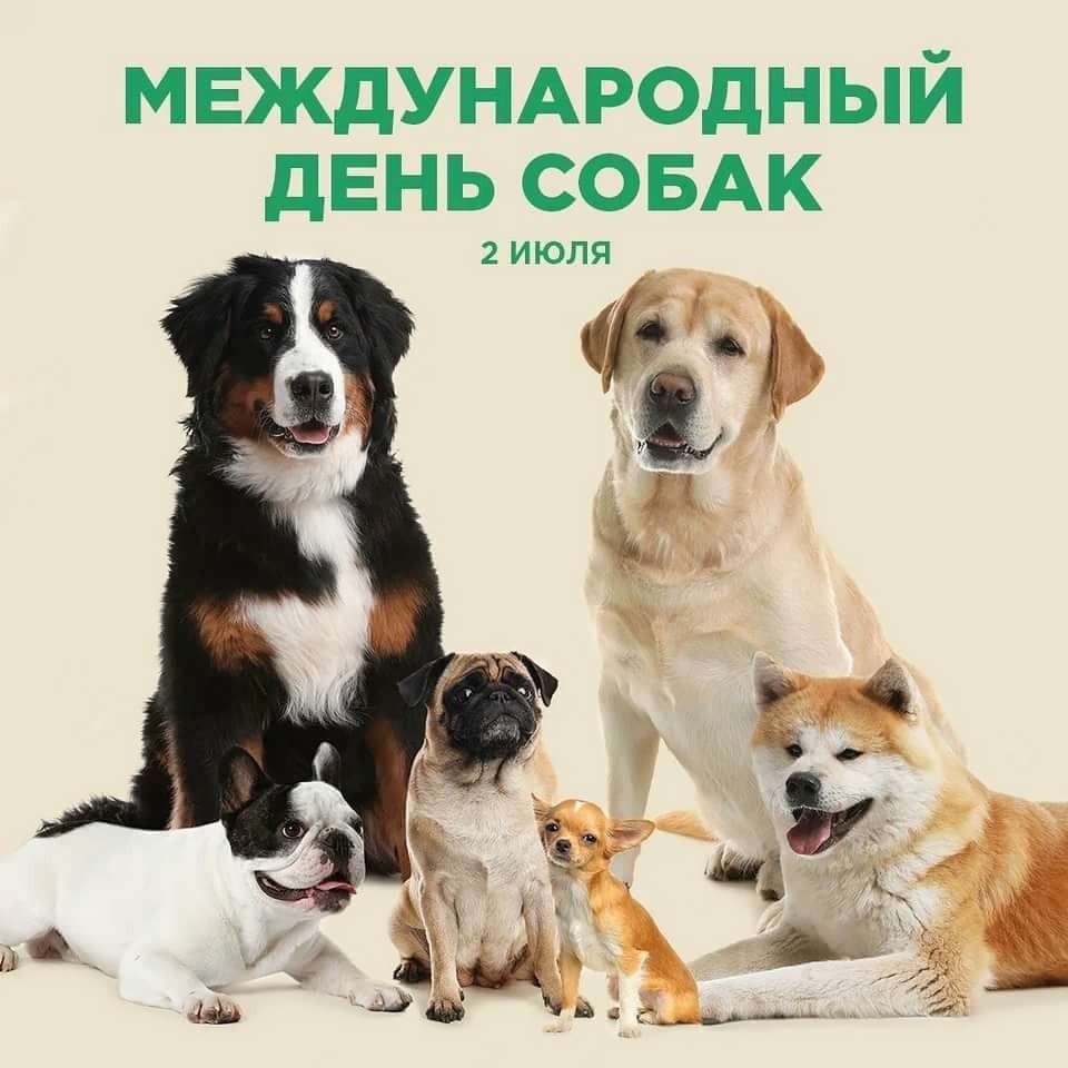 Породы собак по знаку зодиака