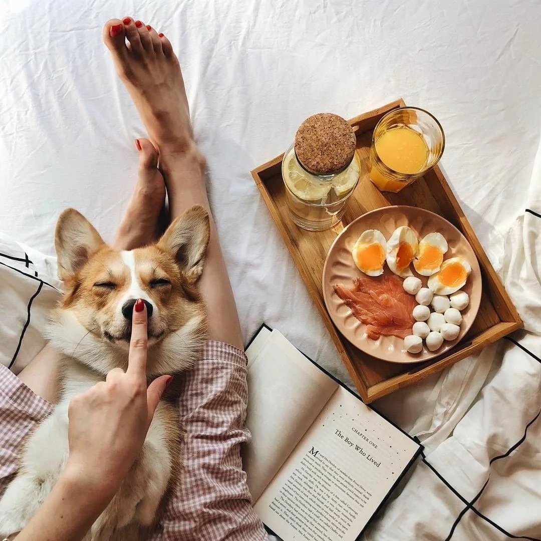 Левретка окрасы Brindle