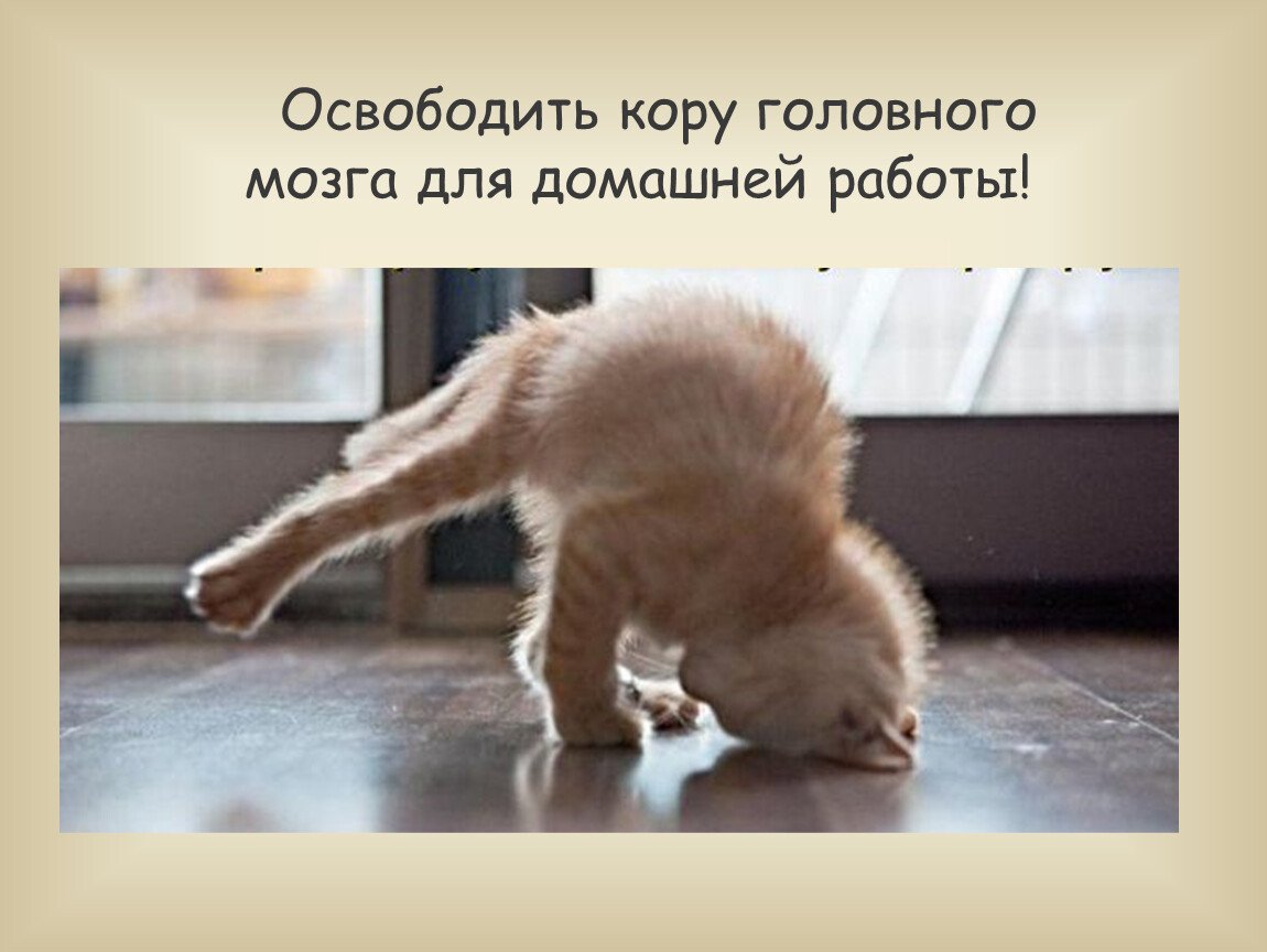 Челом бью картинки