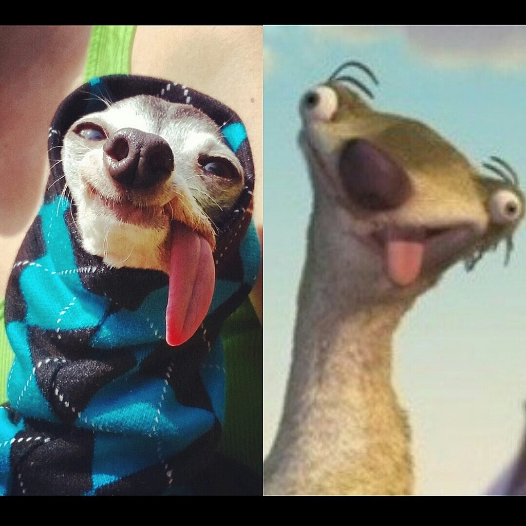 СИД из ледникового периода с языком