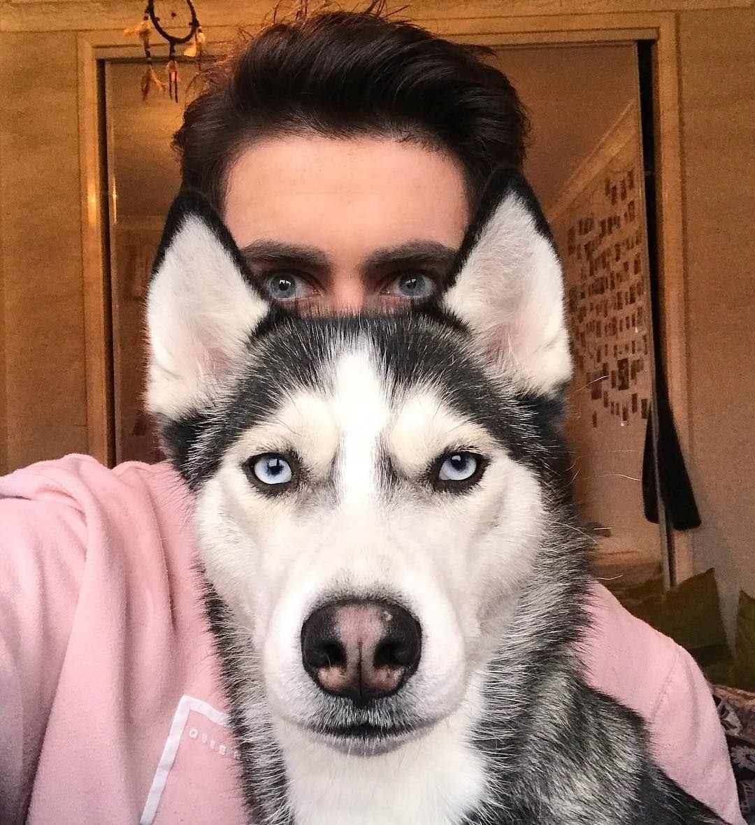 Человек хаски фильм 2011