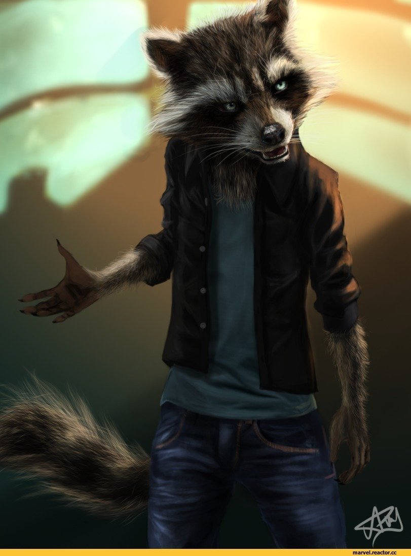 Человек енот