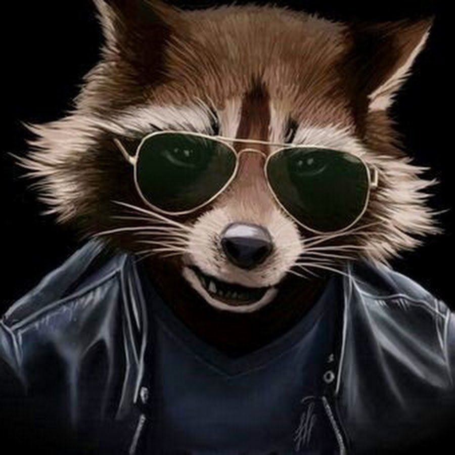 Енот в очках