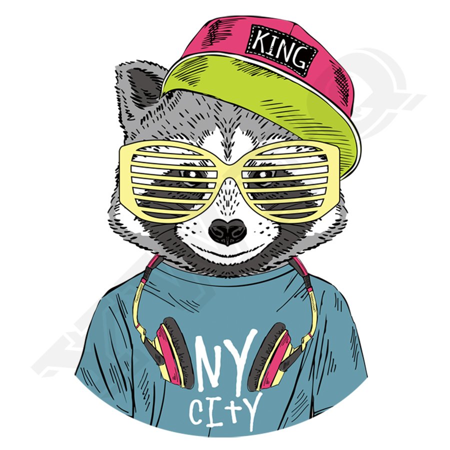 Енот в кепке