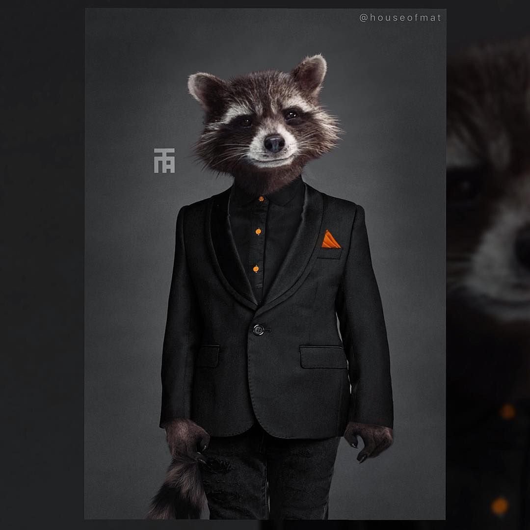 Енот в пиджаке