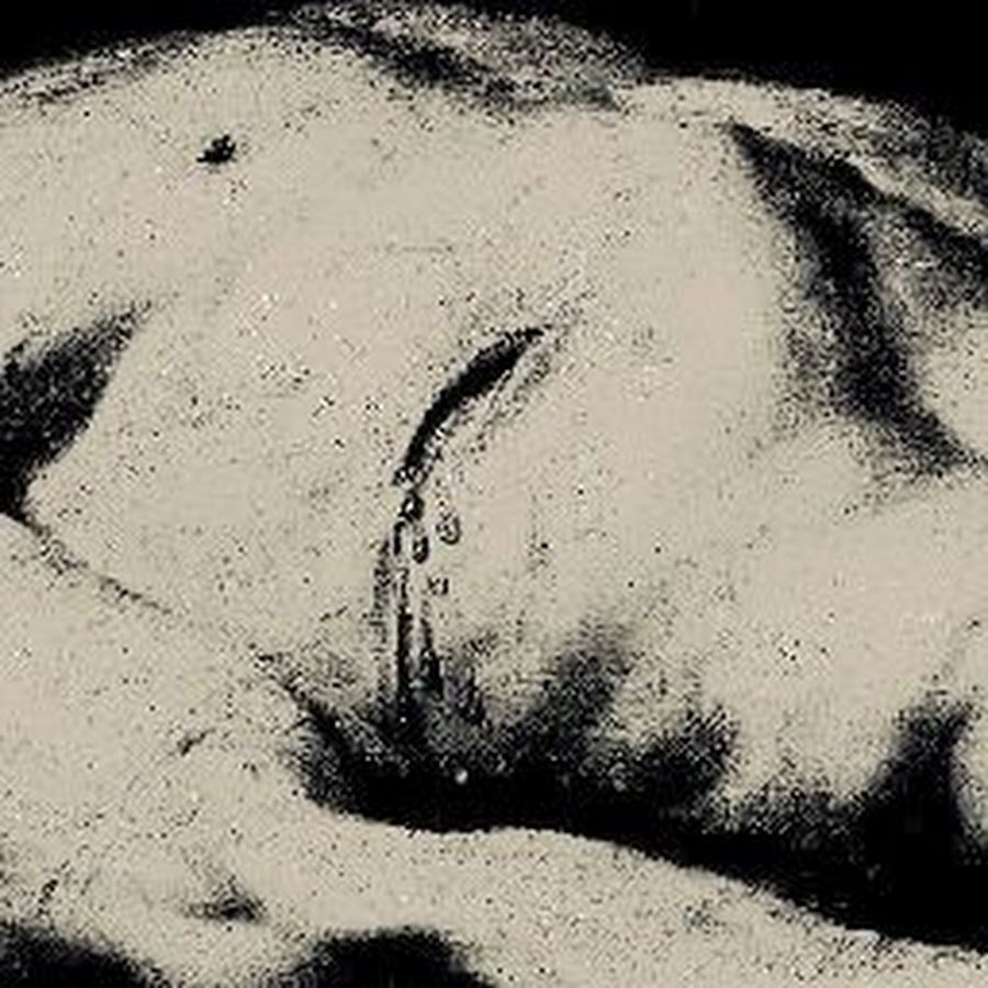 Мистер Бенедикт енот