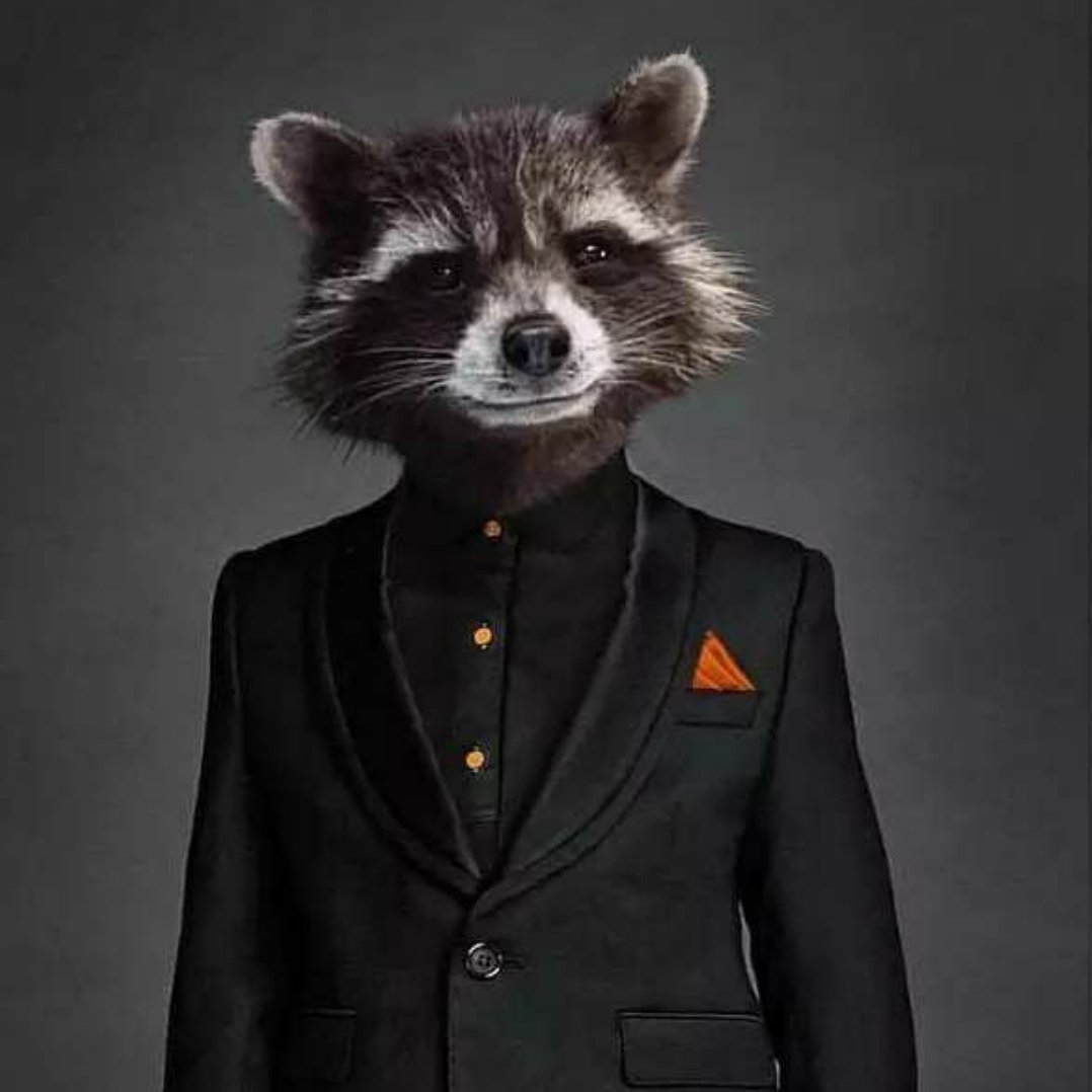 Енот в смокинге