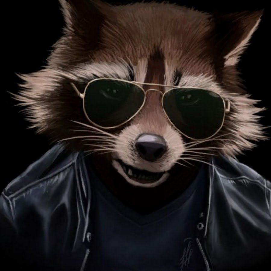 Крутой енот в очках