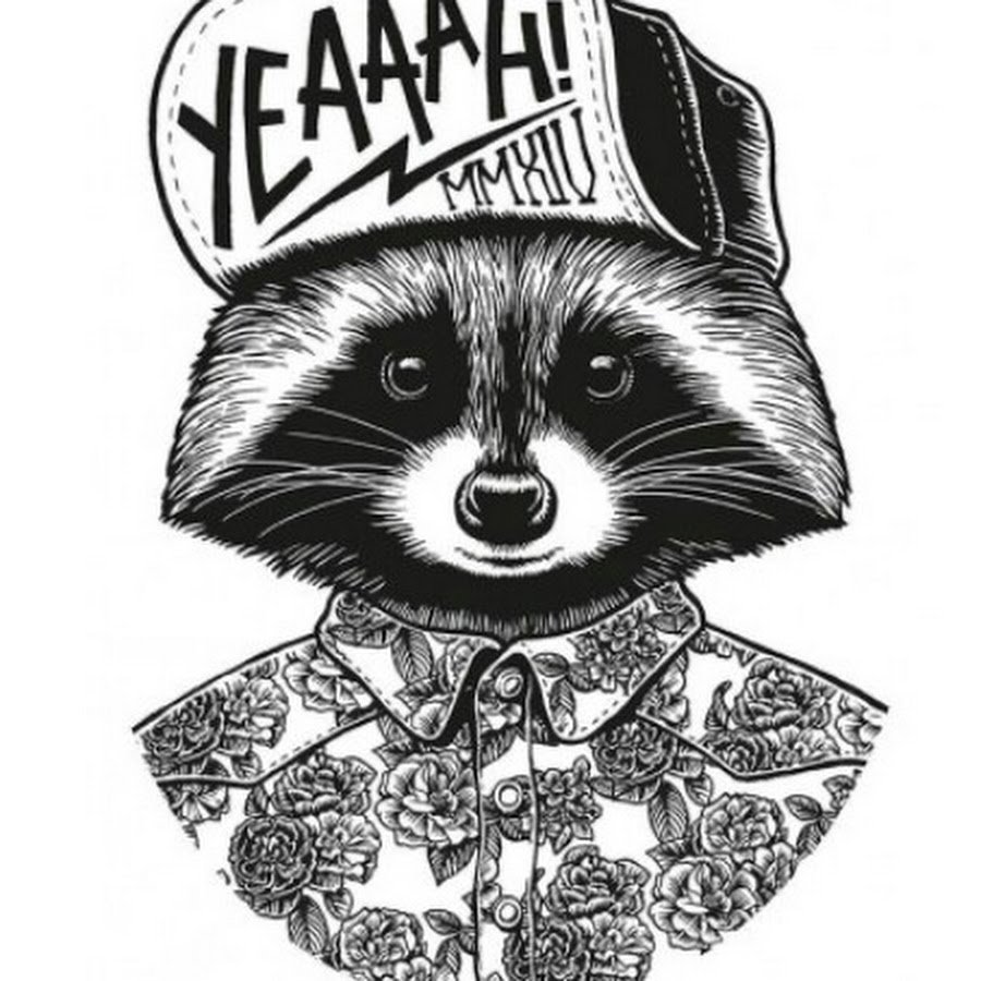 Крутой енот