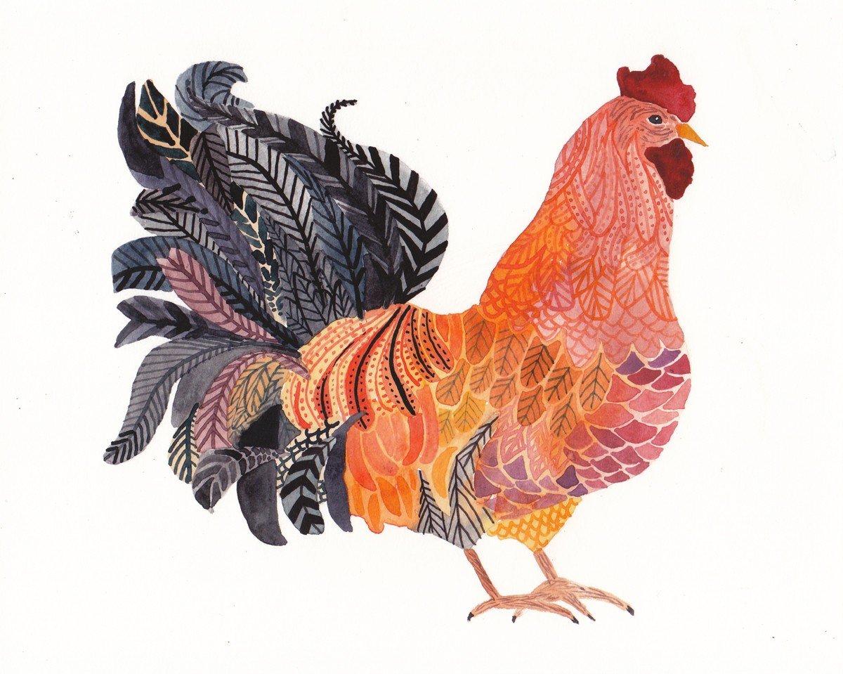 Курица лимитированная коллекция