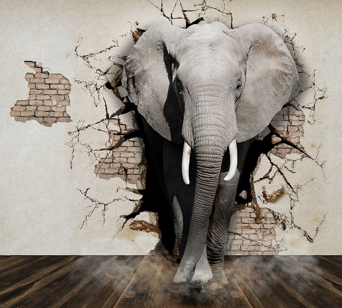 Себастио Сальгадо слон