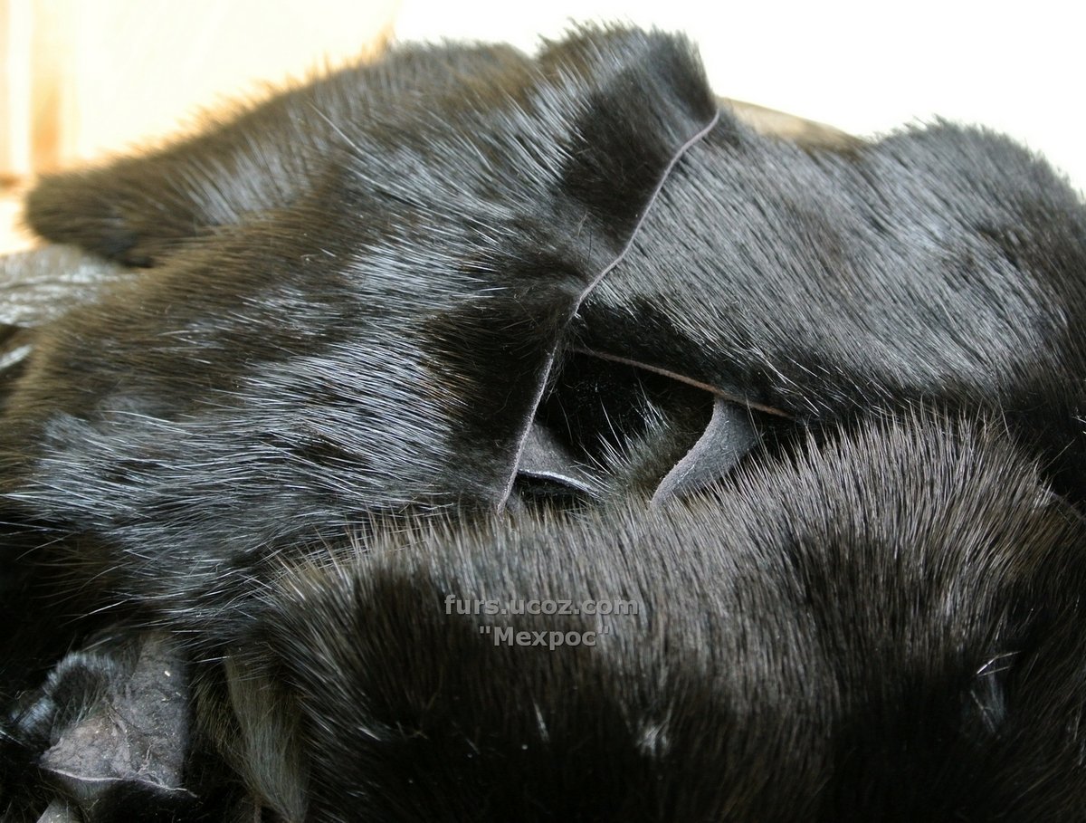 Мех сурка мех норки отличия