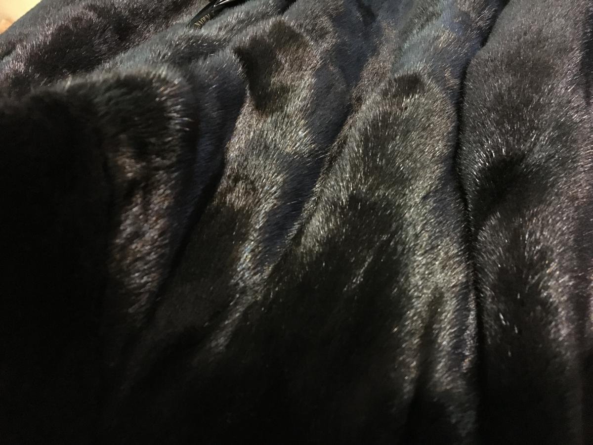 Американская норка на белом фоне