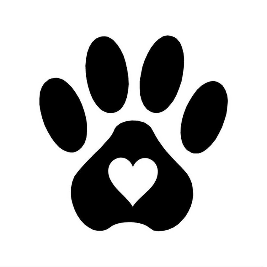 Пьяная обезьяна