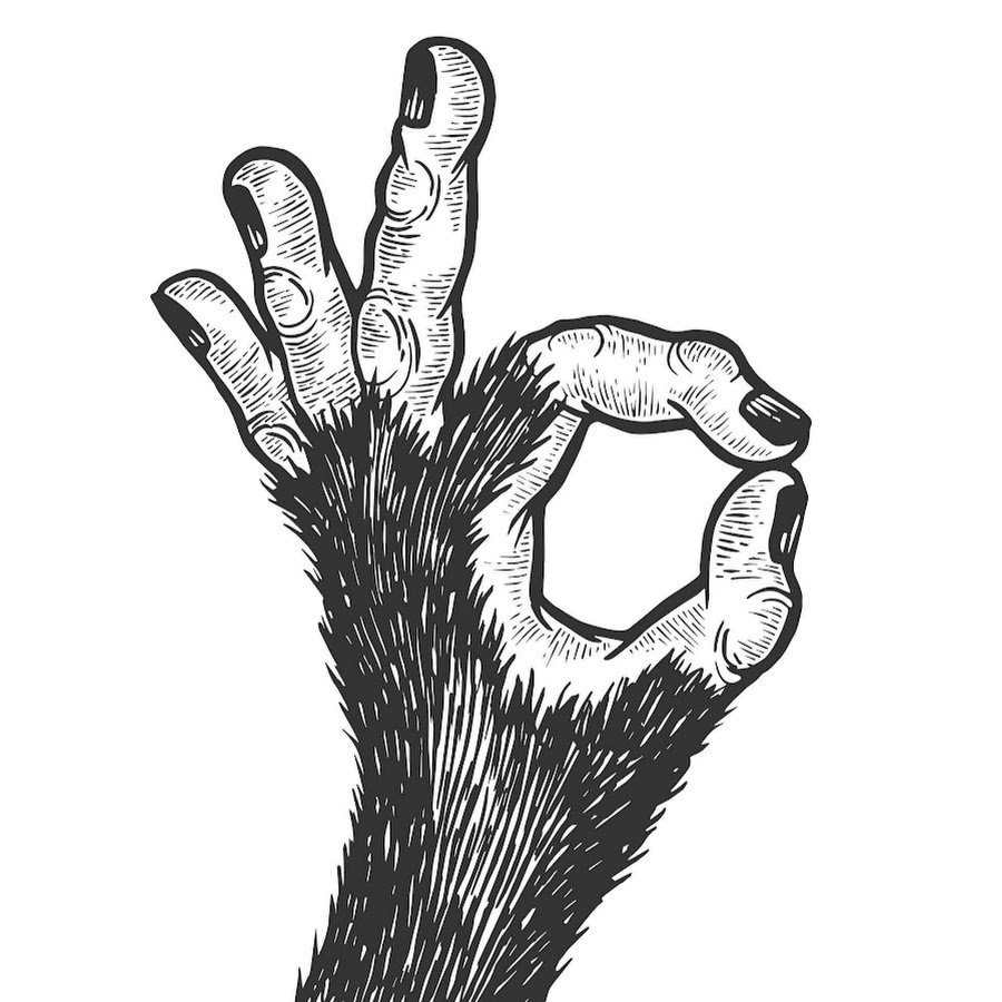 Мех обезьяны