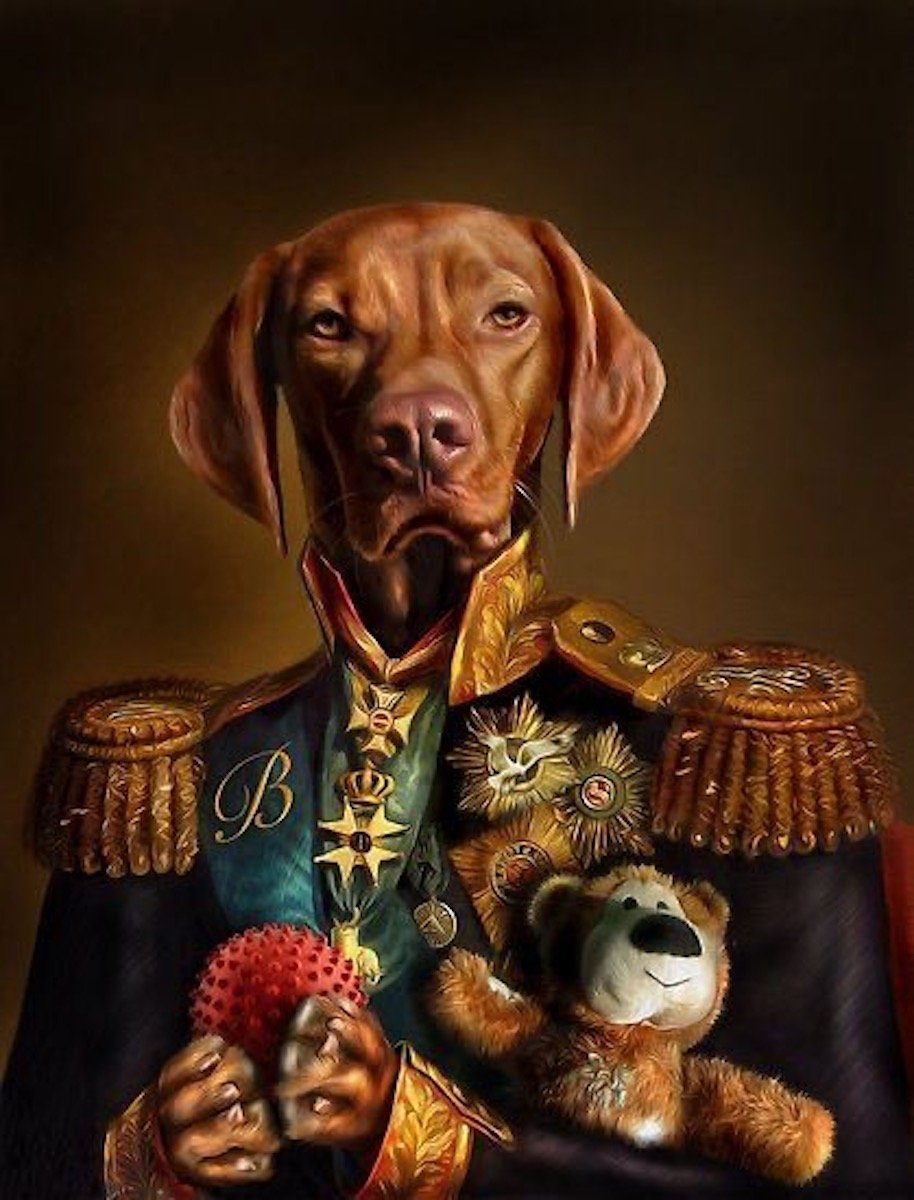 Собака императора - 76 фото