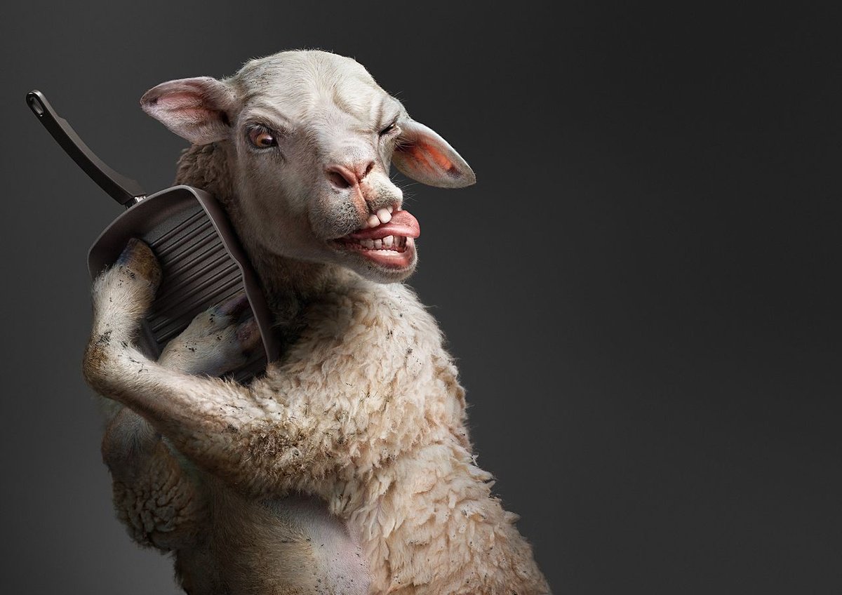 Креативная реклама с животными