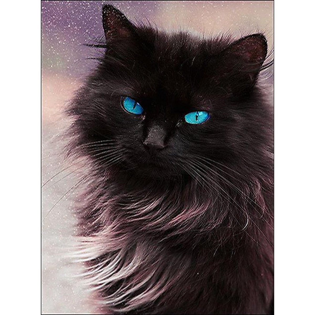 Рыжая шантильи Тиффани