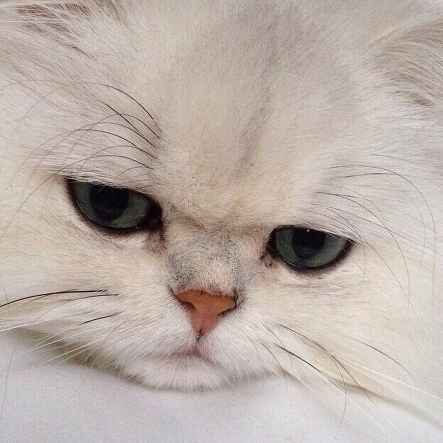 Грустный Плачущий котик