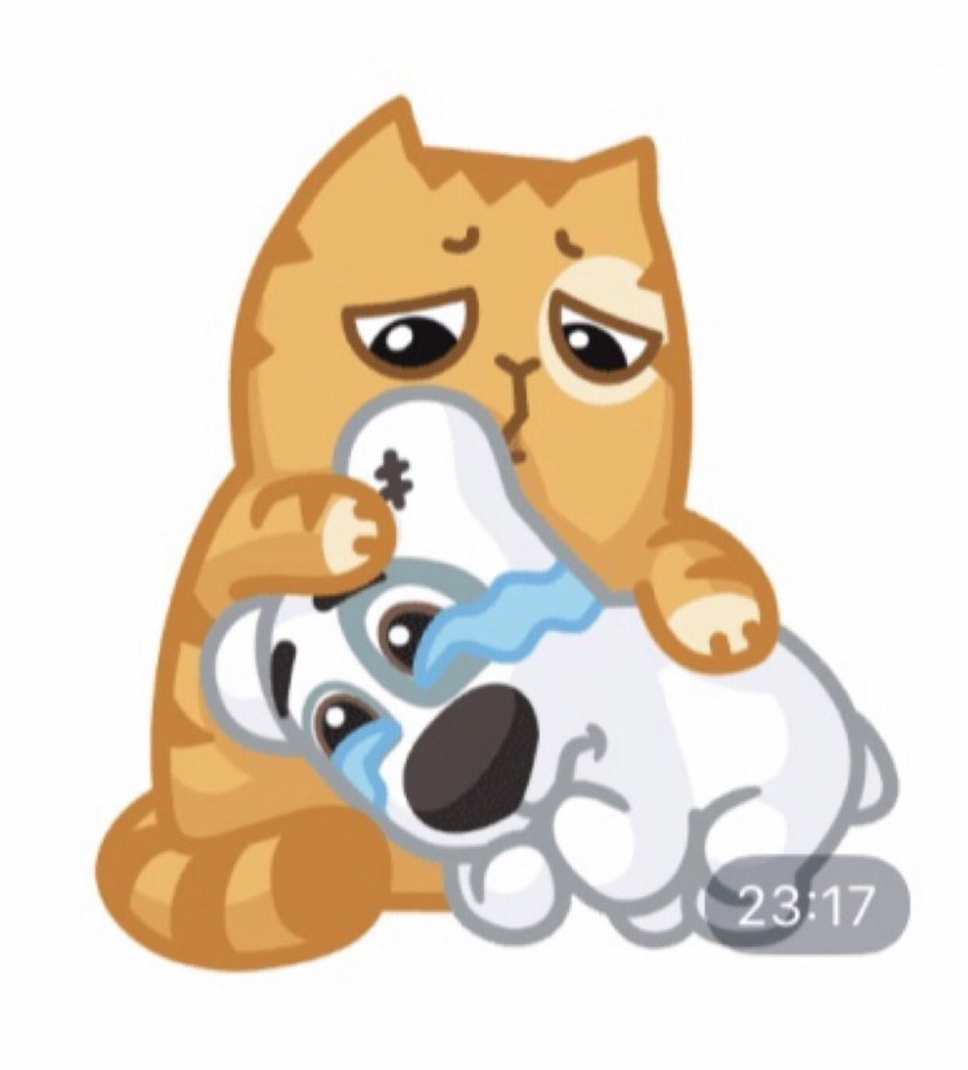 Кот персик и пес Спотти