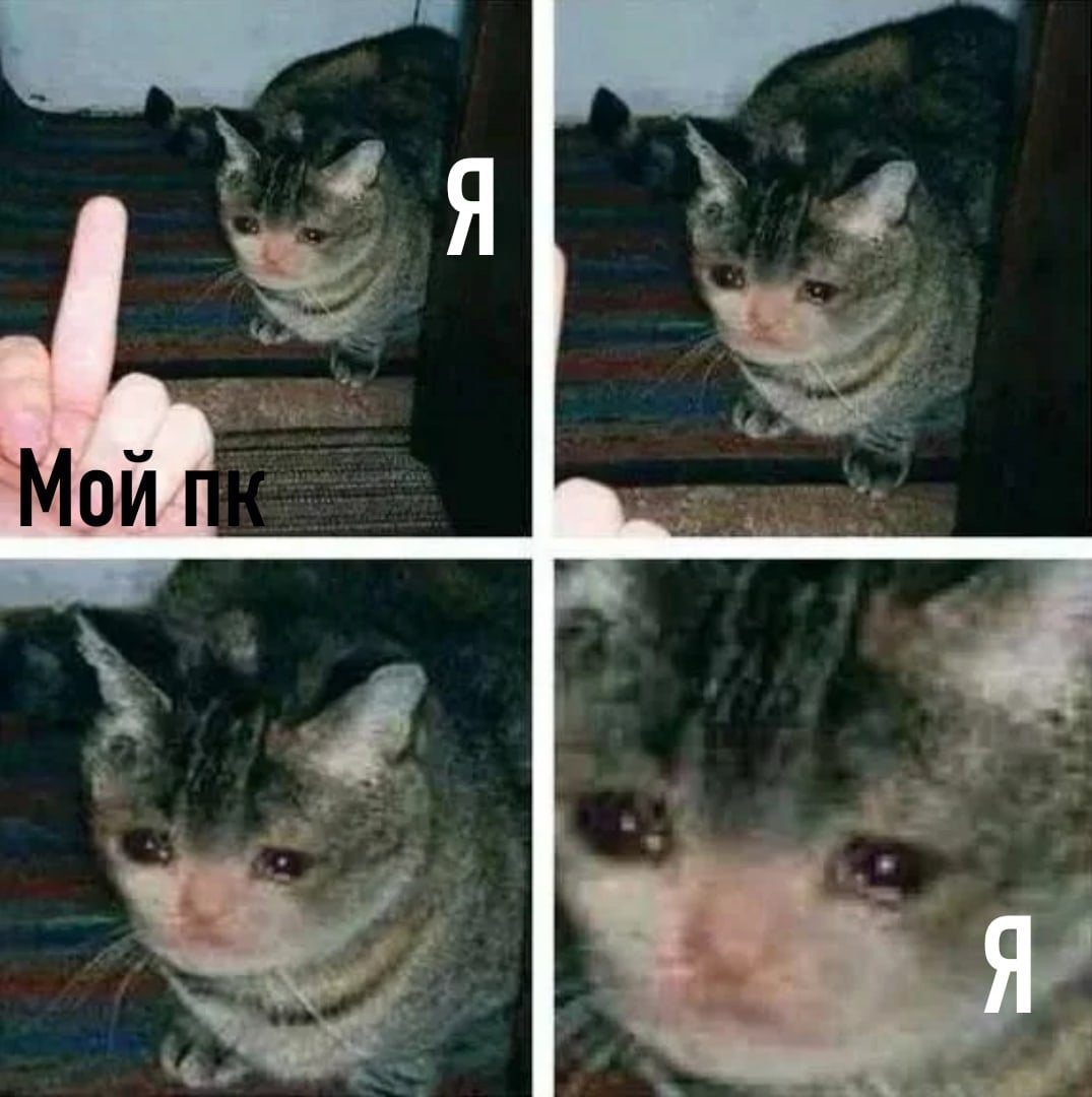 Плачущий кот лежит