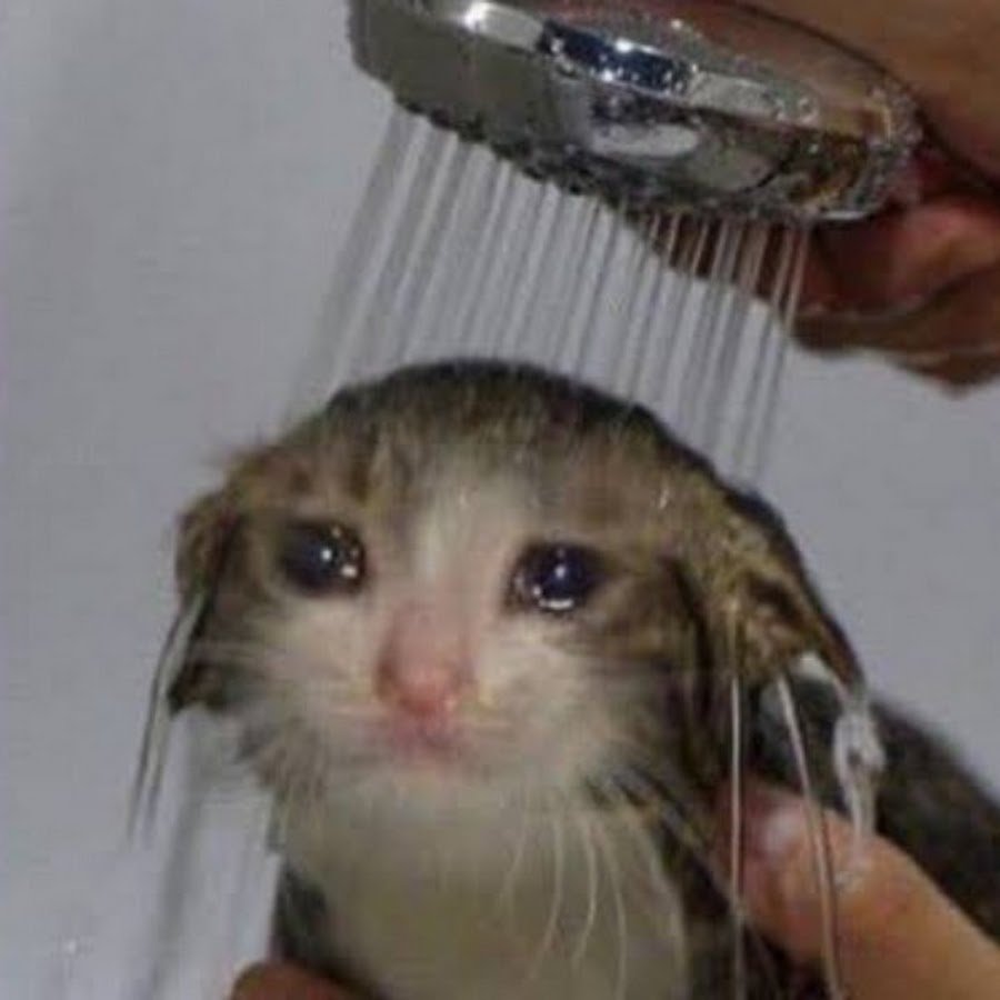 Плачущий кот мультяшный