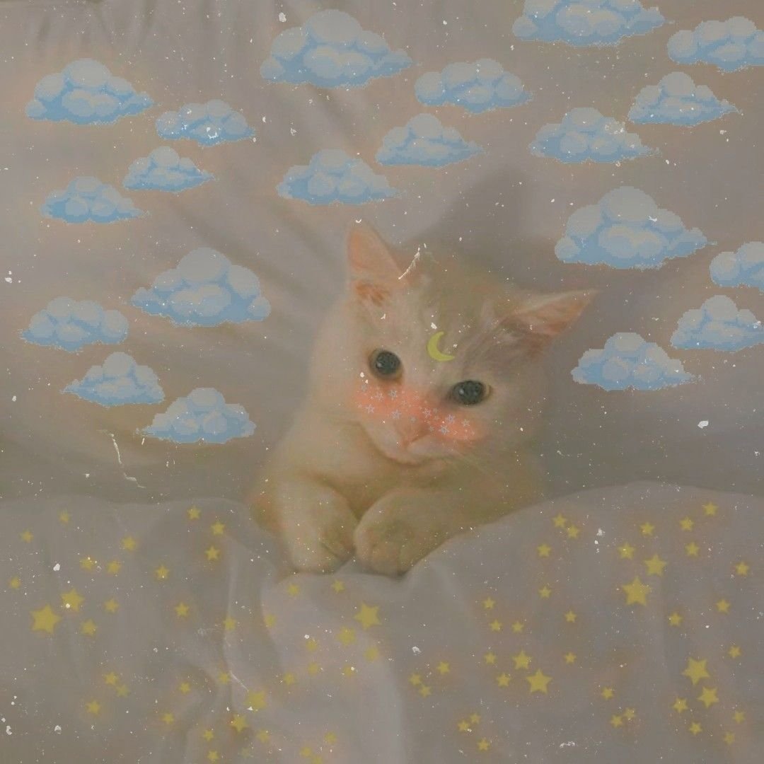 Котики Эстетика розовая