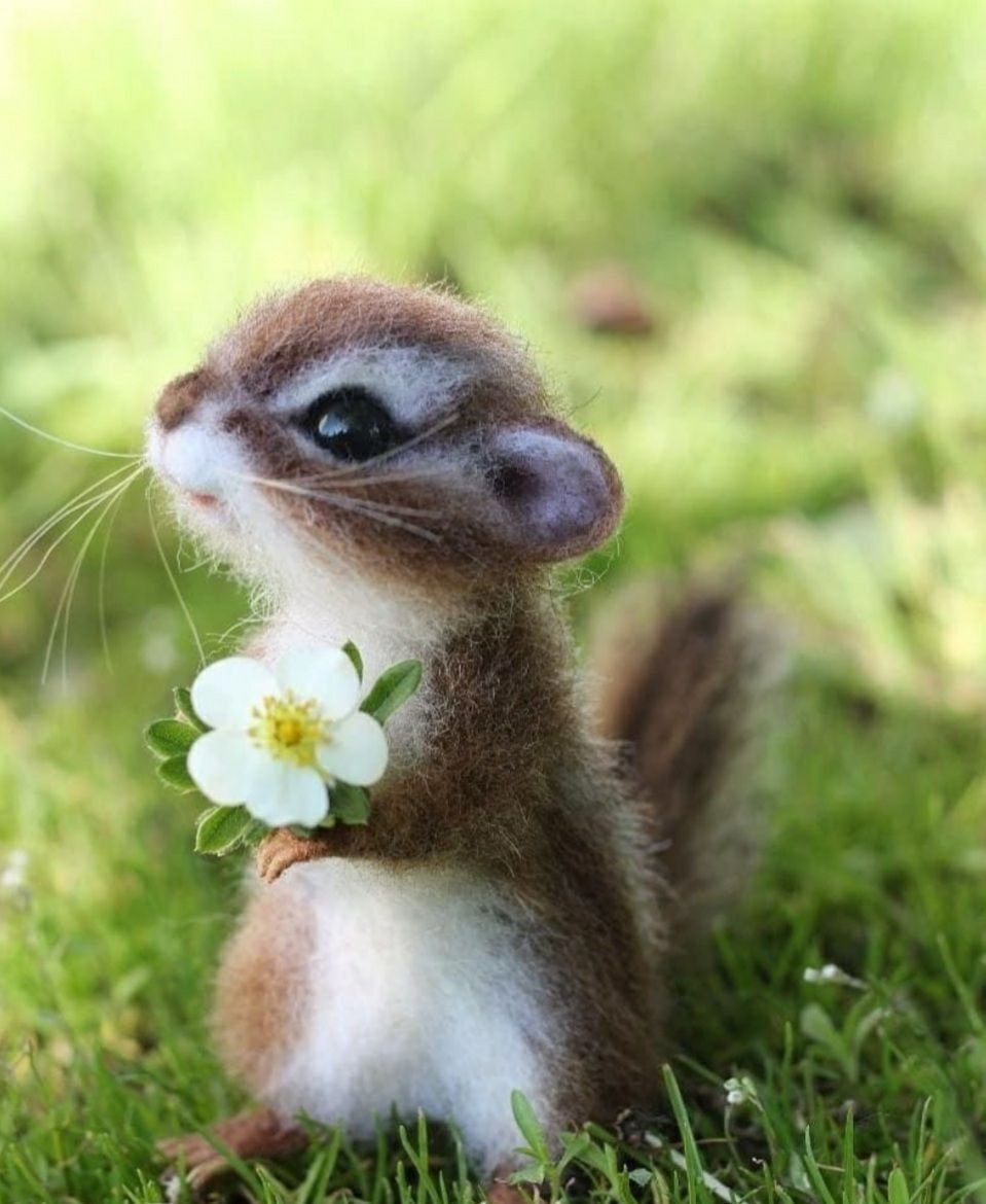 Милые животные