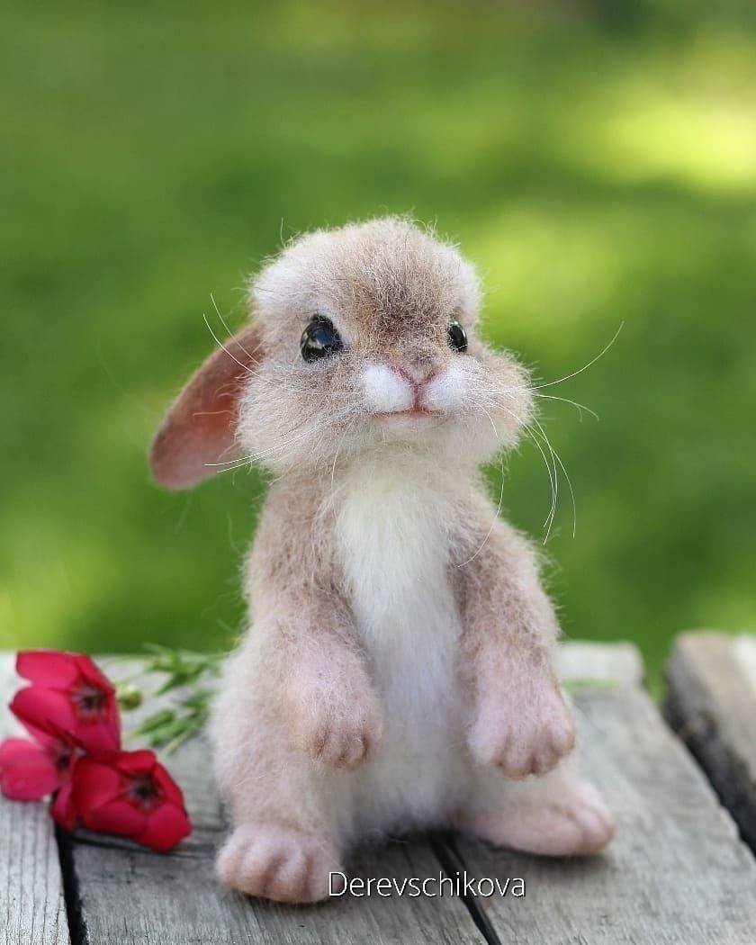 Милые животные