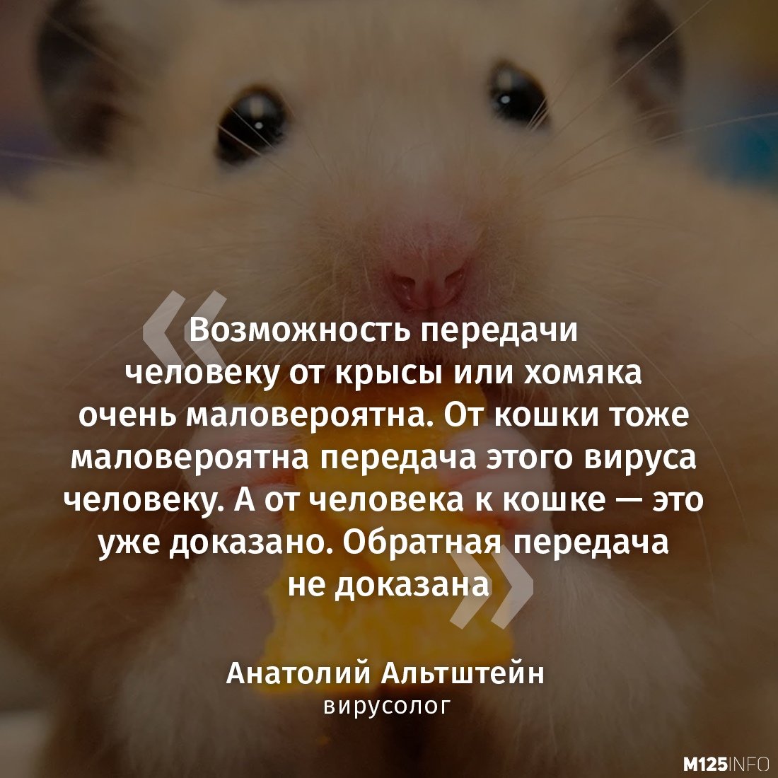 Гибриды грызунов