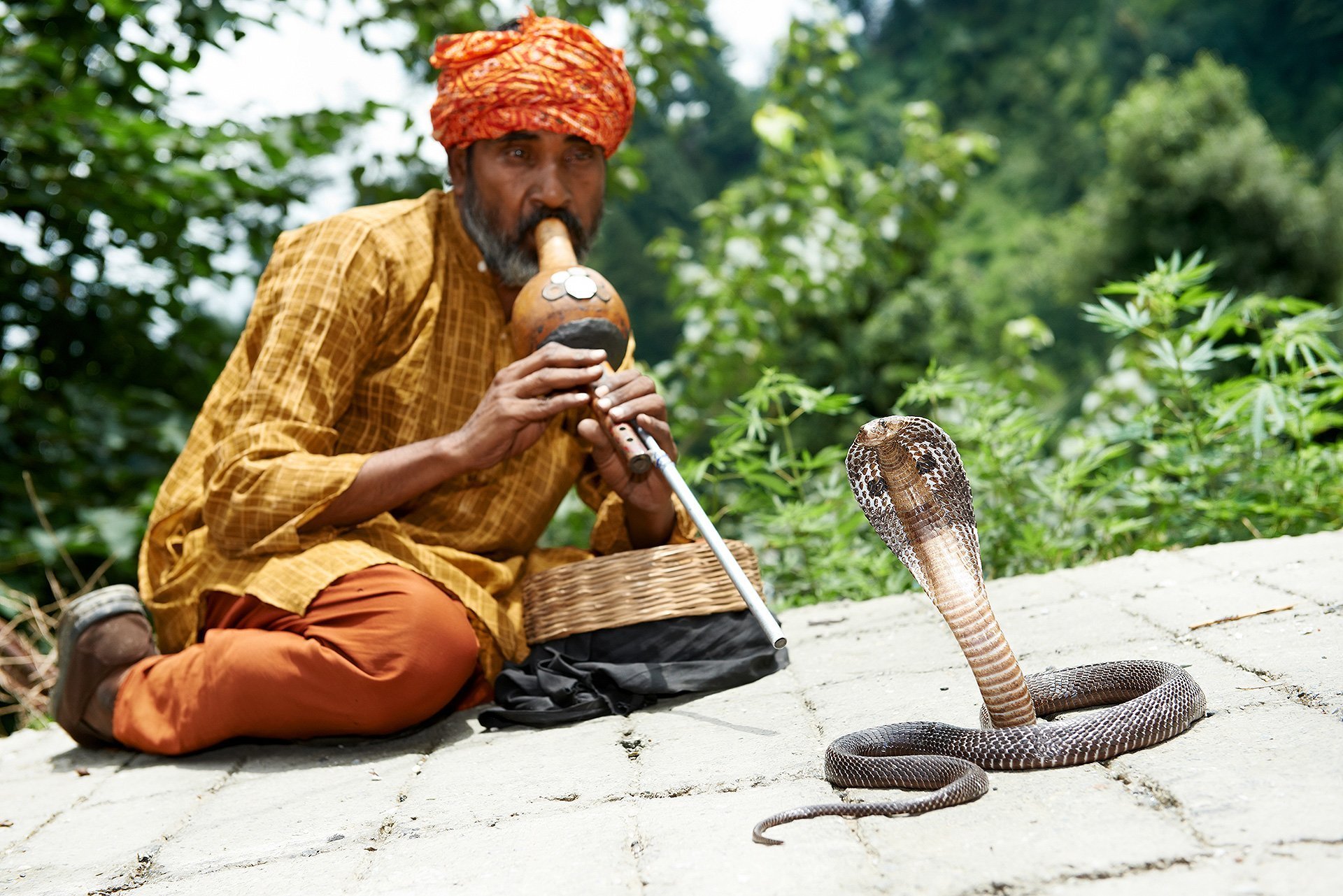 Заклинатель змей рассказ. Заклинатели змей в Индии. Кобра и Заклинатель змей. Факир Заклинатель змей. Индийский инструмент Заклинатель змей.