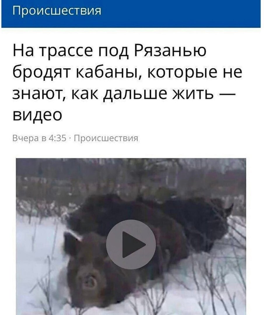 Поросенок улыбается