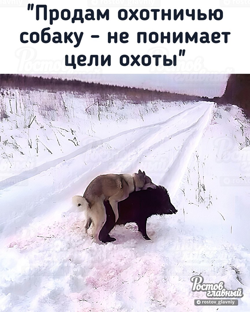 Когда кончились патроны