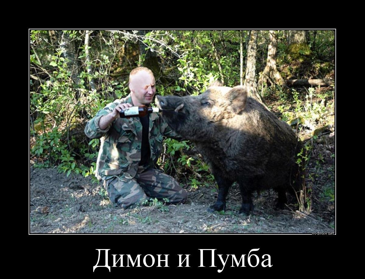 Микро мини Пиги