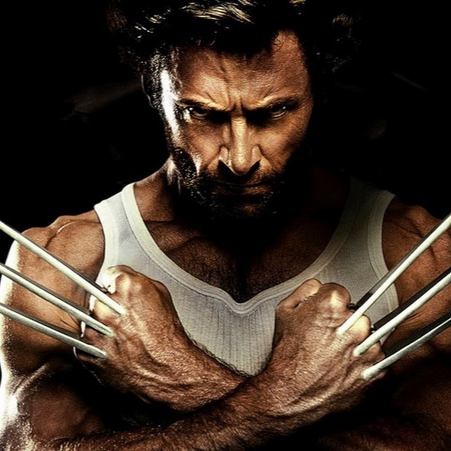 Медвежья лапа