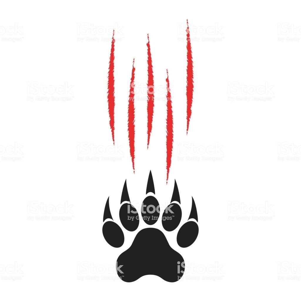 Росомаха фото животное без фона