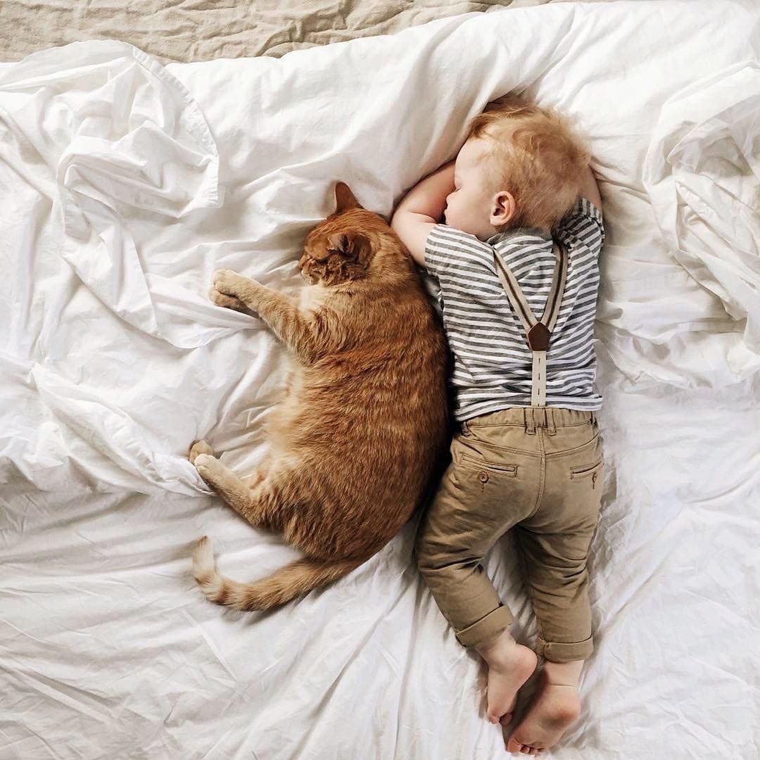 Ребенок спит с котом