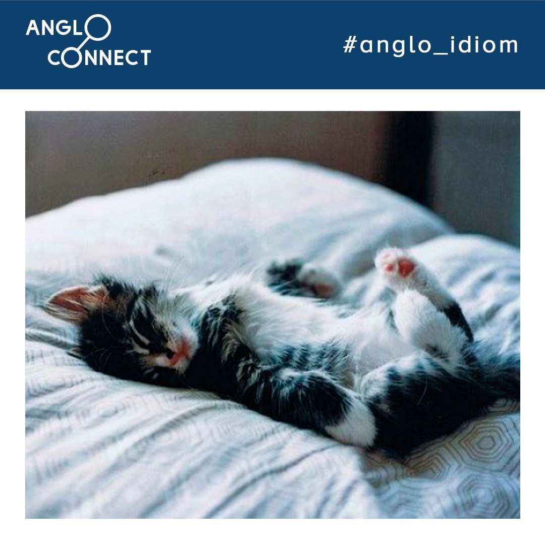 Нежиться в кровати