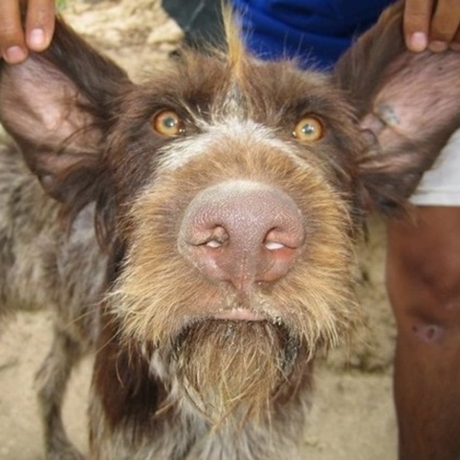 Самый ржачный демотиватор