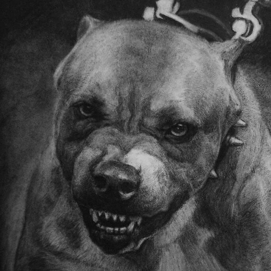 Смешные фразы про собак