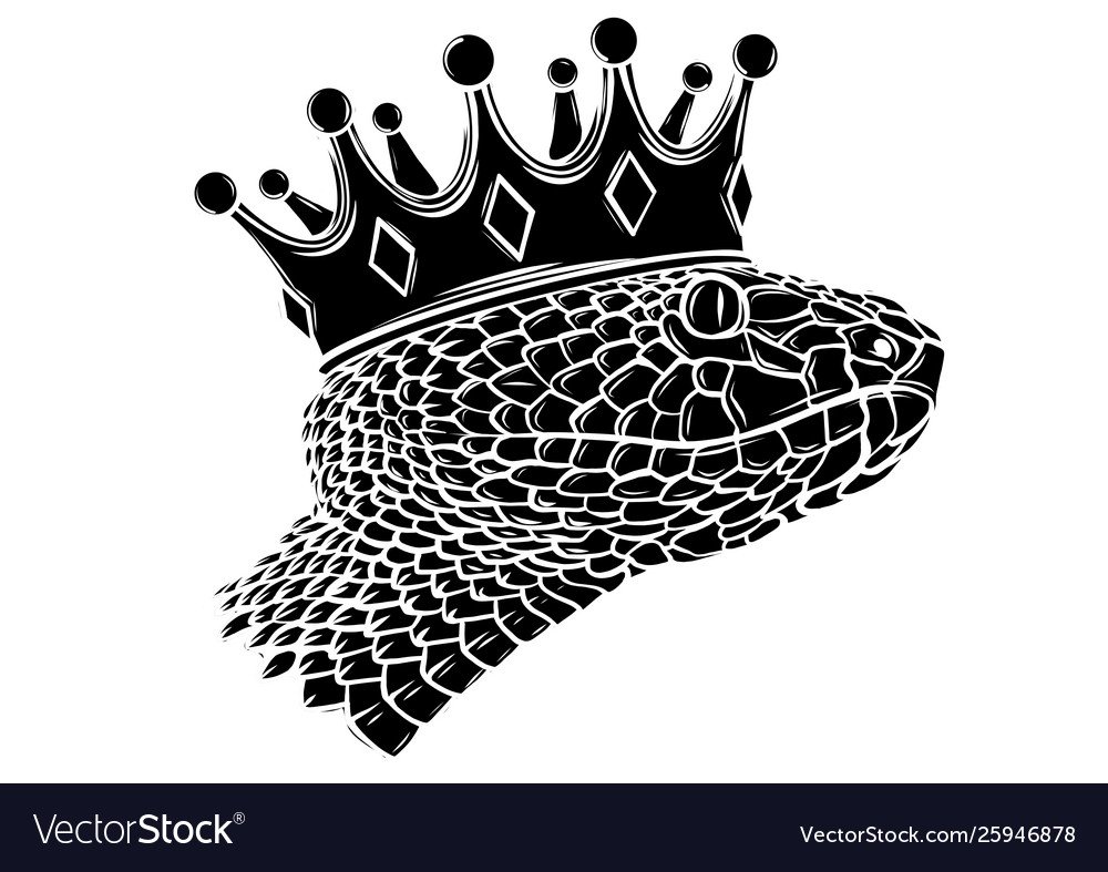 Обои на рабочий стол ящерица