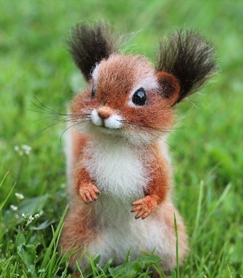 Белки валяные из шерсти