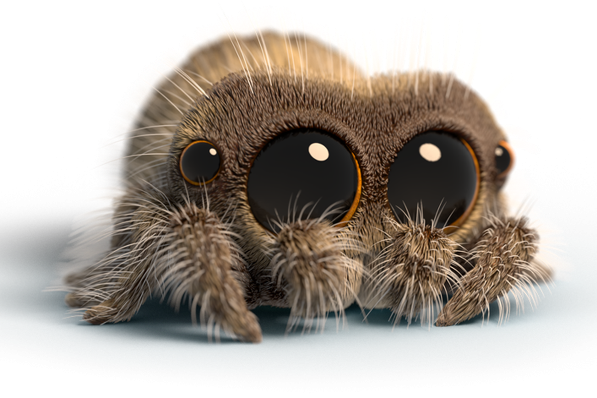 Лукас Спайдер